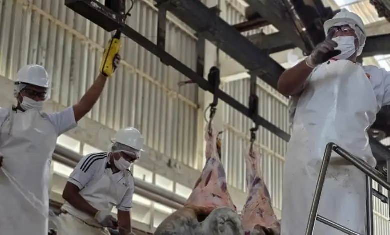 Sector agroalimentario de carne consolida la producción comunal venezolana