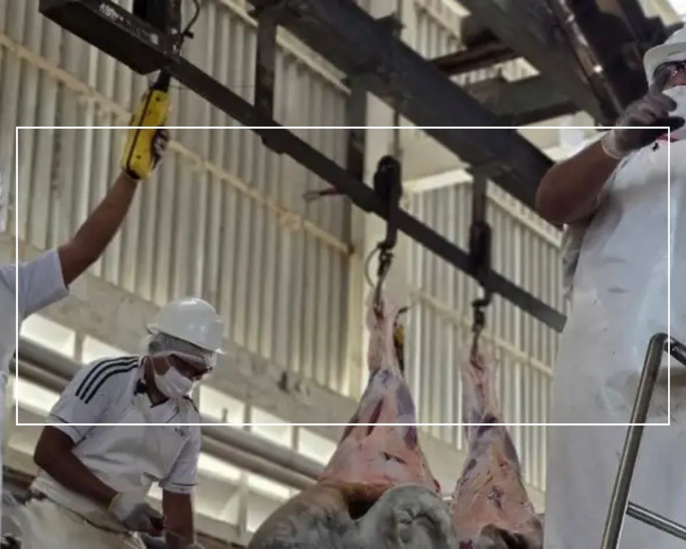 Sector agroalimentario de carne consolida la producción comunal venezolana