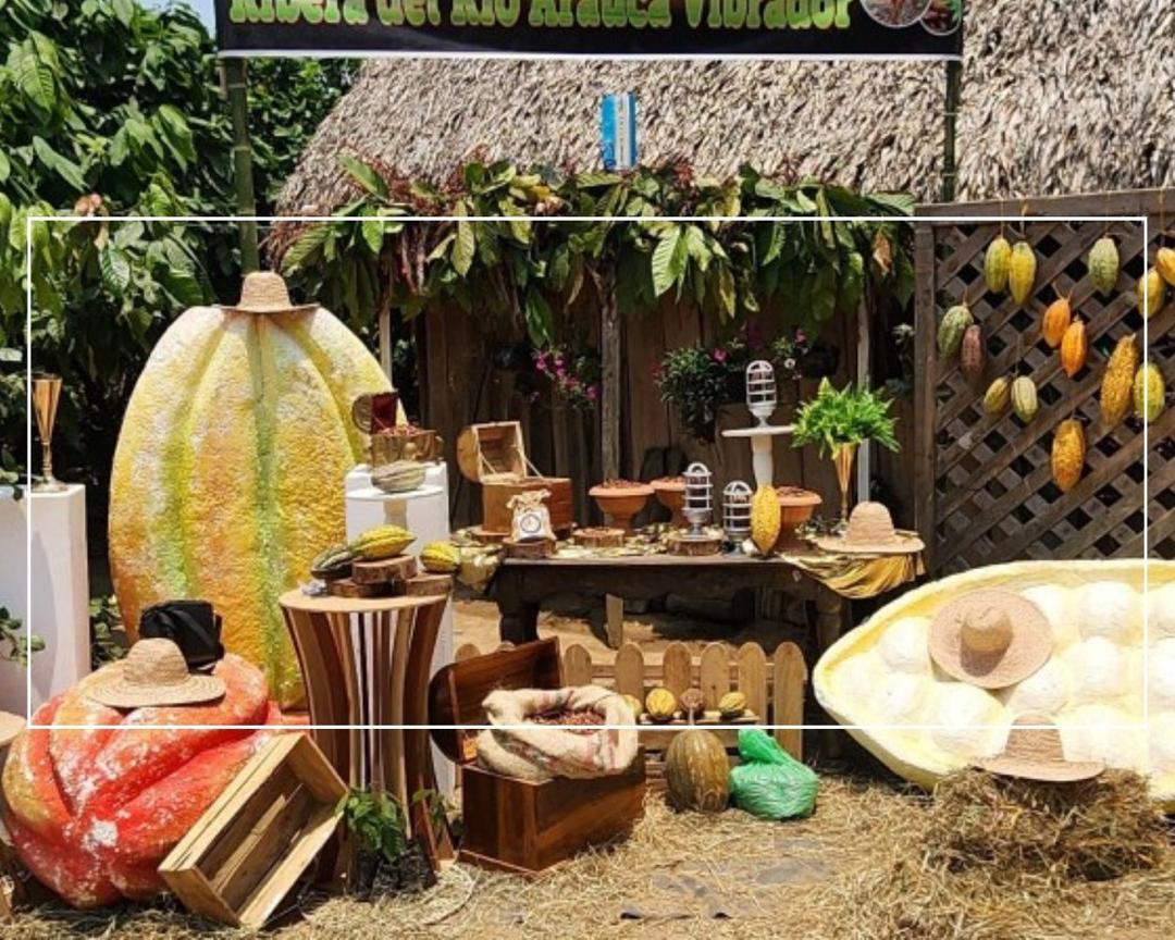 Gobierno Nacional impulsa fortalecimiento productivo del cacao en Apure