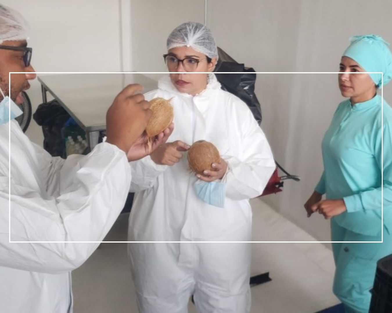 Gobierno Nacional impulsa la producción de derivados del coco en el país