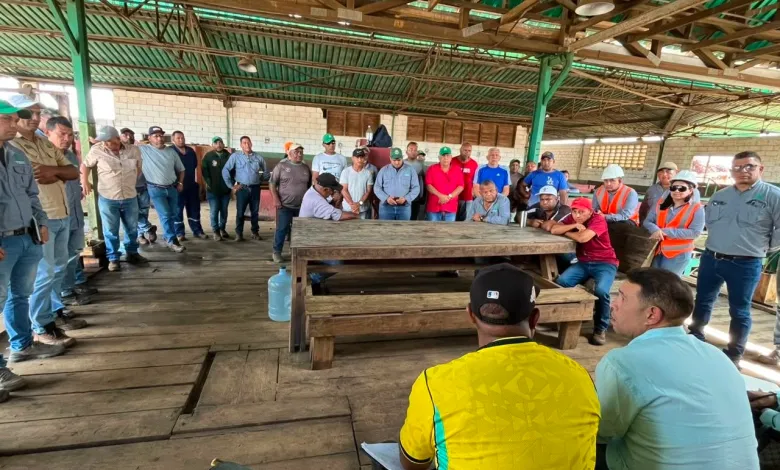 Evalúan capacidades productivas del Aserradero Uverito en Monagas