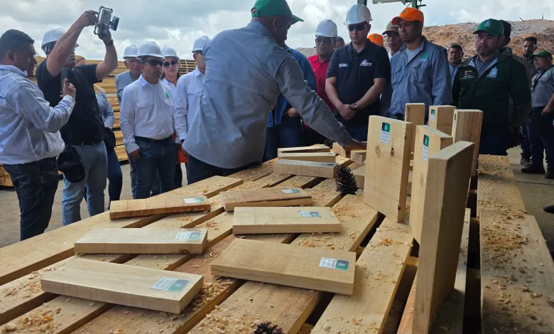 Procesos productivos de línea uno en Aserradero Uverito incrementa capacidad industrial