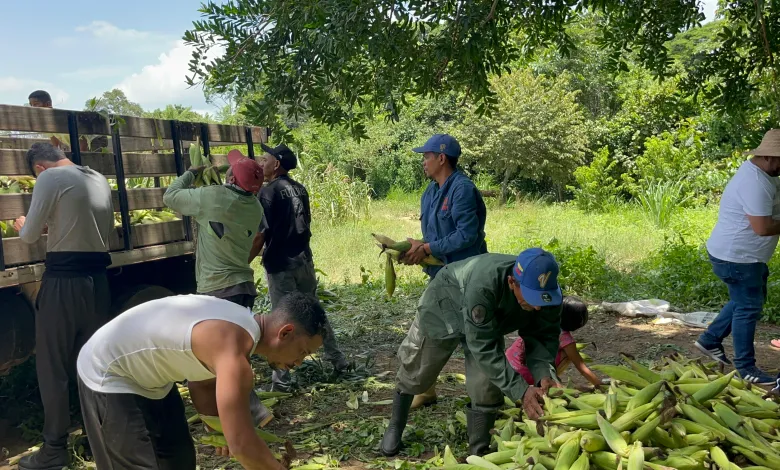 Fundo Zamorano Entrada a La Libertad impulsa el encadenamiento productivo para garantizar la soberanía alimentaria