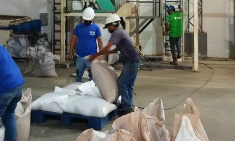 Planta de leguminosas impulsa el encadenamiento productivo e industrial